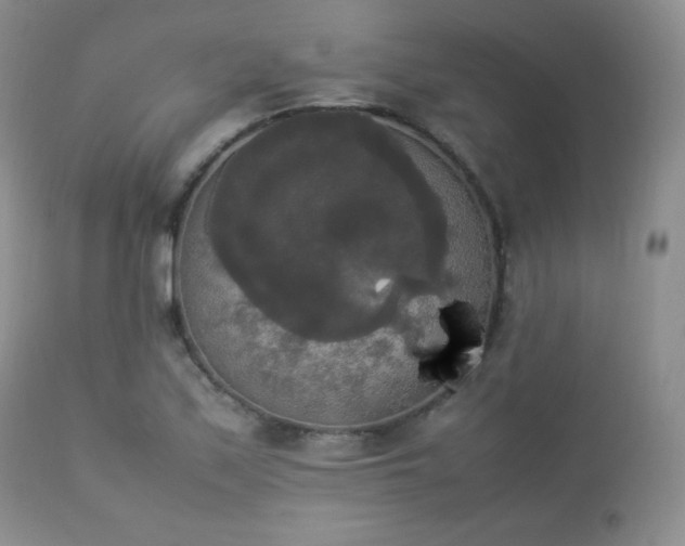 X0000112831171200908211209