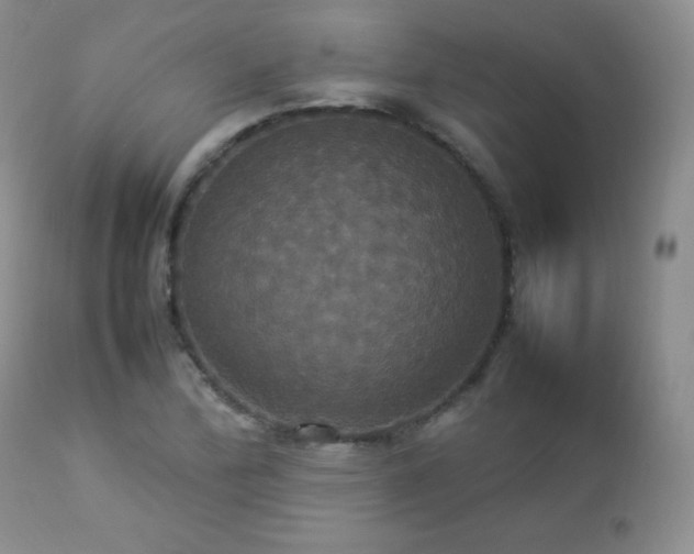 X0000112831172200908211209