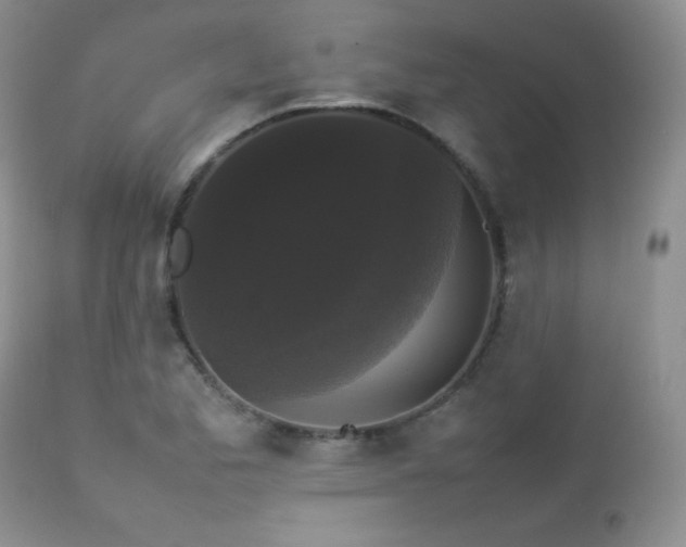 X0000112831173200908211209
