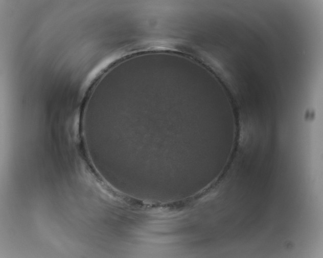 X0000112831174200908211209