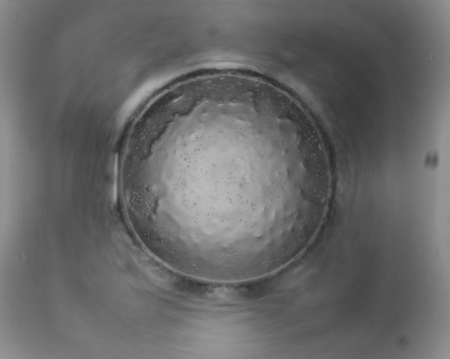 X0000112831175200908211209