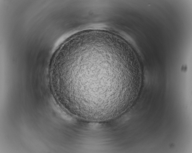 X0000112831176200908211209