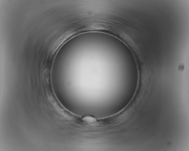 X0000112831177200908211209