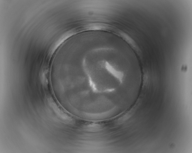 X0000112831178200908211209