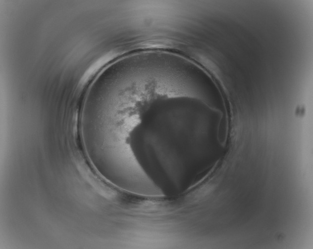 X0000112831179200908211209