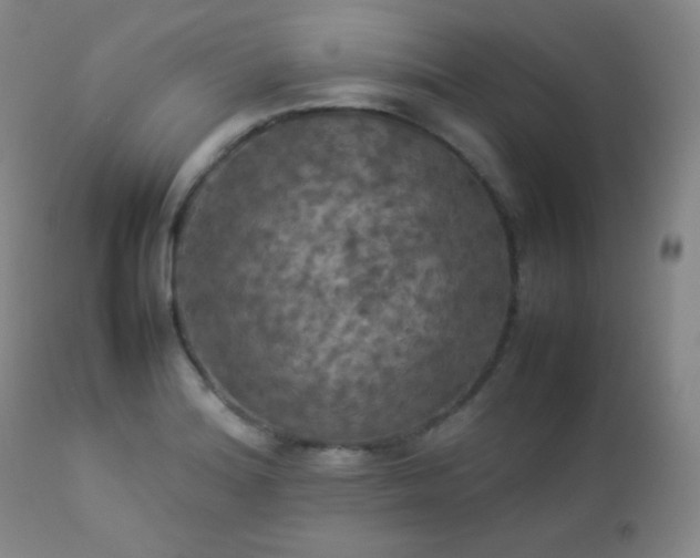 X0000112831180200908211209