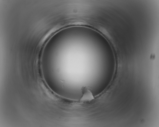 X0000112831181200908211209