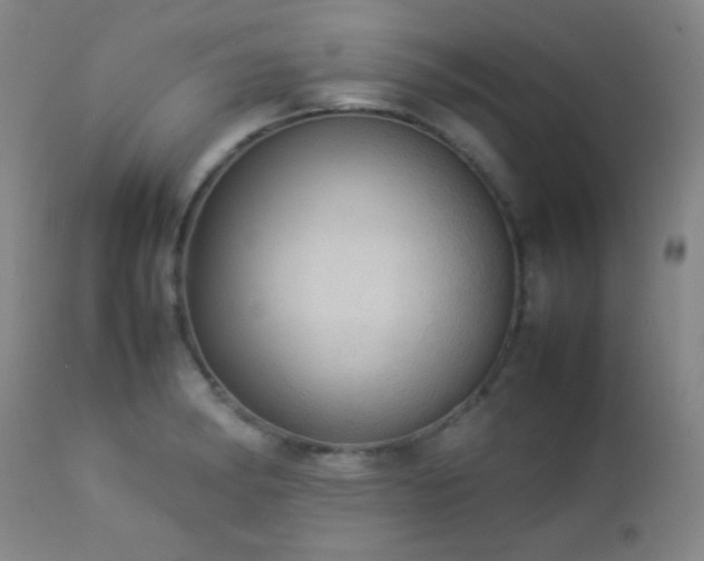 X0000112831182200908211209