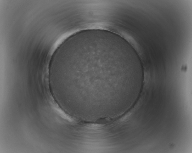X0000112831184200908211209