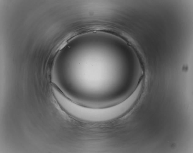 X0000112831185200908211209