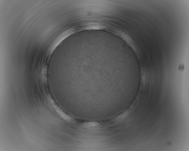 X0000112831186200908211209