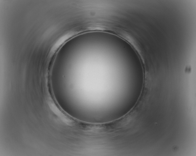 X0000112831187200908211209