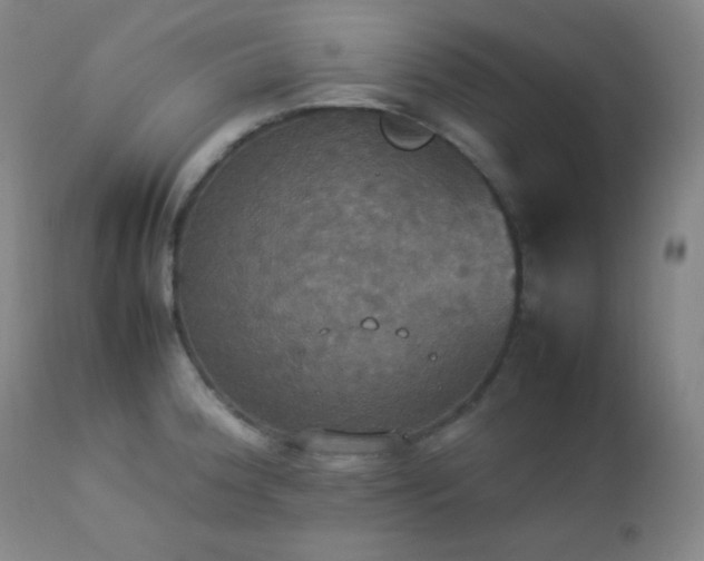 X0000112831188200908211209