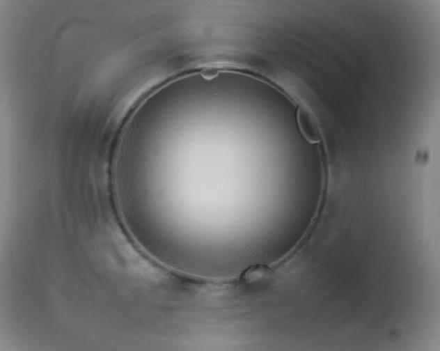 X0000112831189200908211209