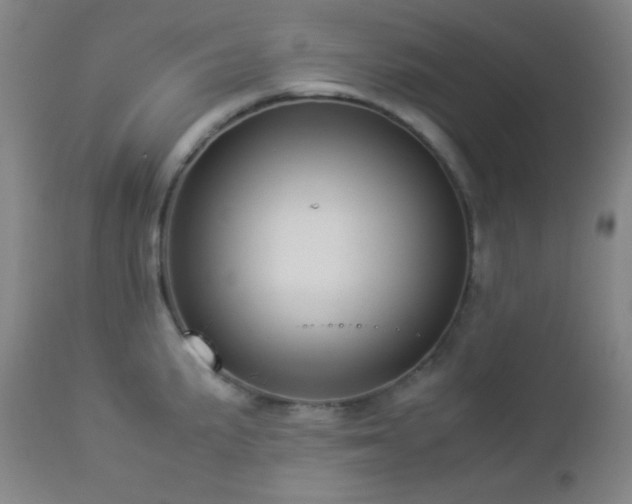 X0000112831191200908211209