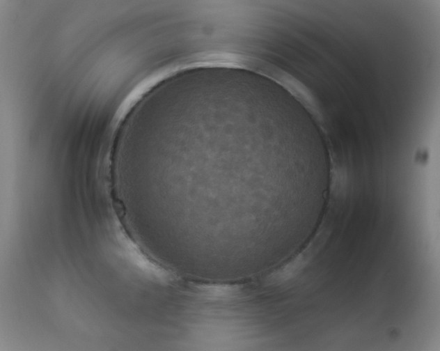 X0000112831192200908211209