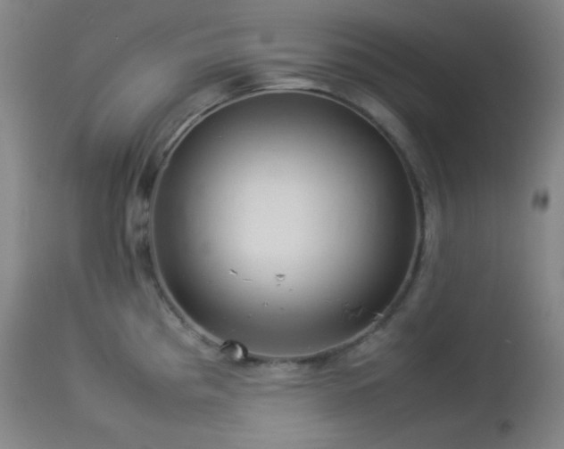 X0000112831193200908211209