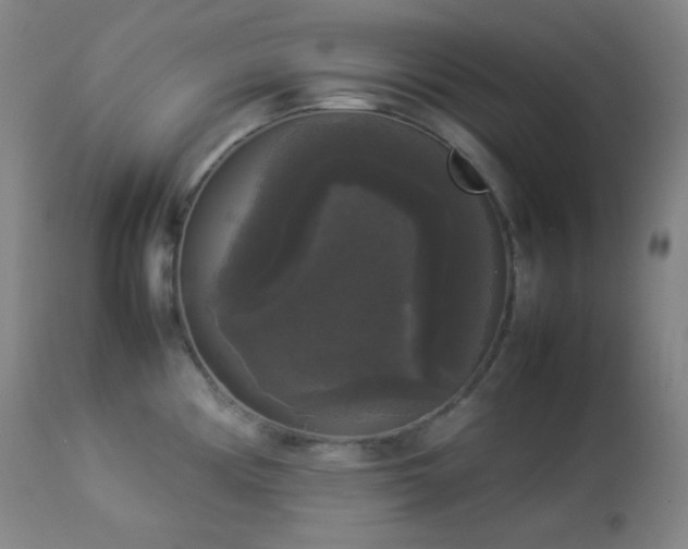 X0000112831194200908211209