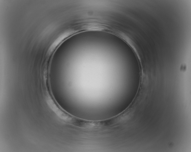 X0000112831195200908211209