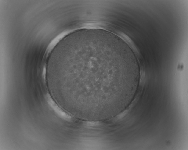 X0000112831196200908211209