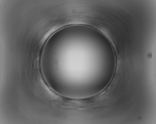 X0000112831197200908211209