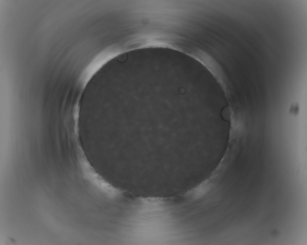 X0000112831198200908211209