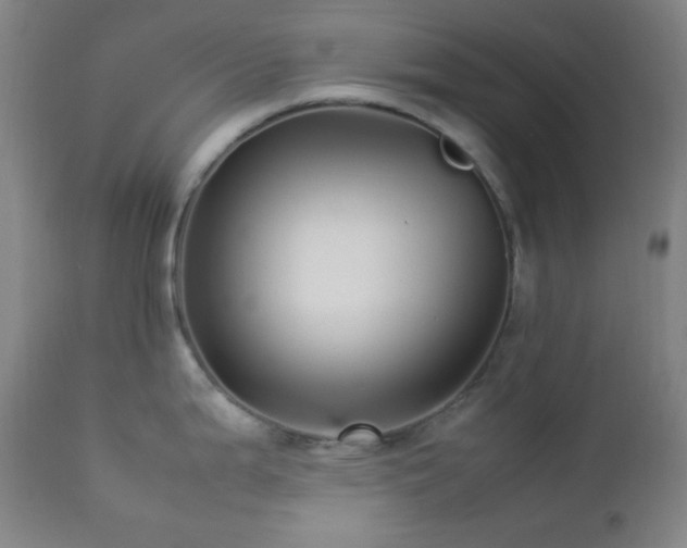 X0000112831199200908211209