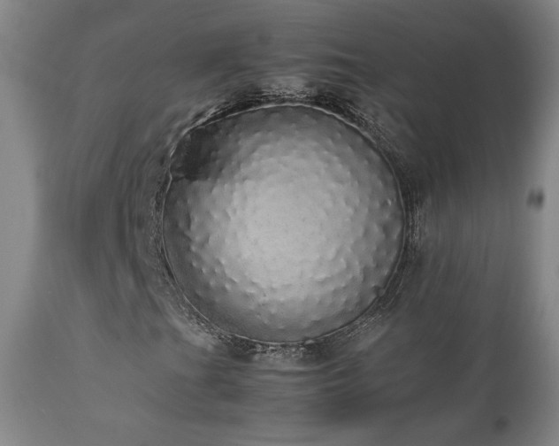 X0000112831201200908211208
