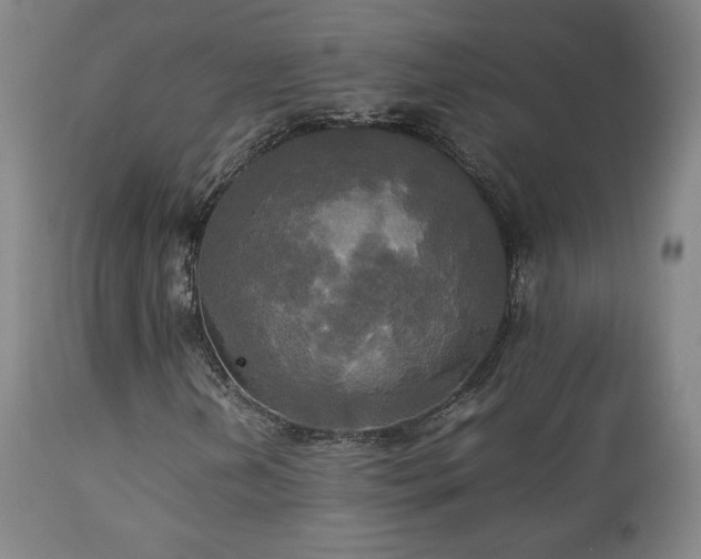 X0000112831202200908211208