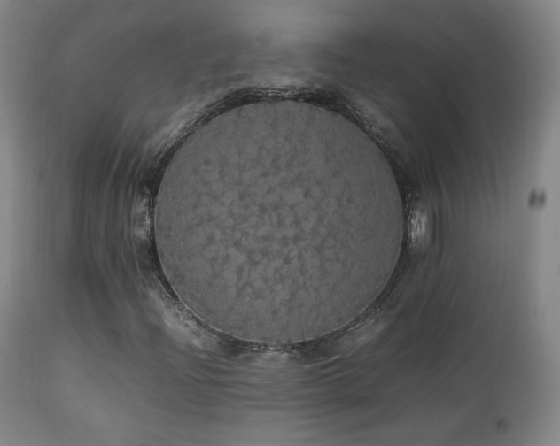 X0000112831204200908211208