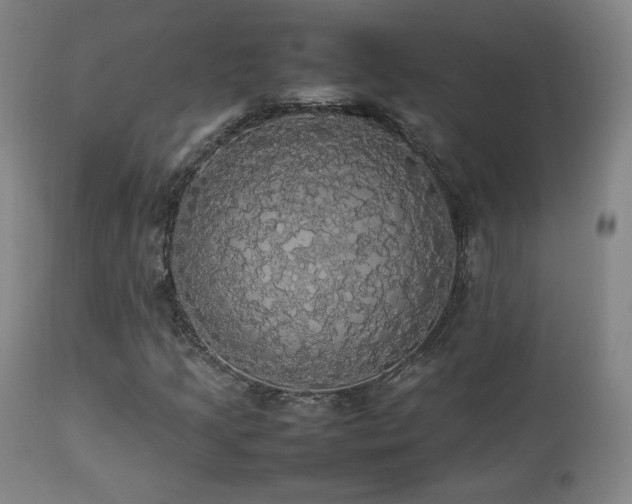 X0000112831205200908211208