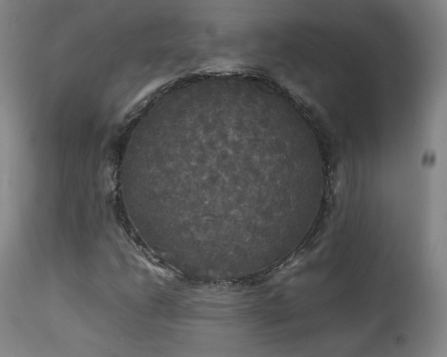 X0000112831206200908211208