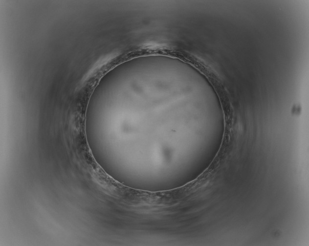 X0000112831207200908211208