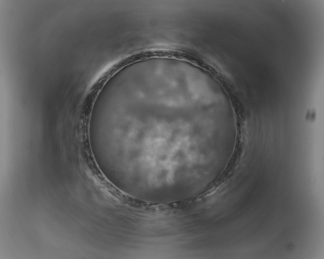 X0000112831208200908211208