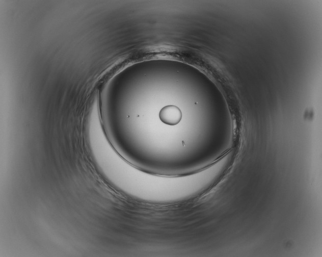 X0000112831209200908211208