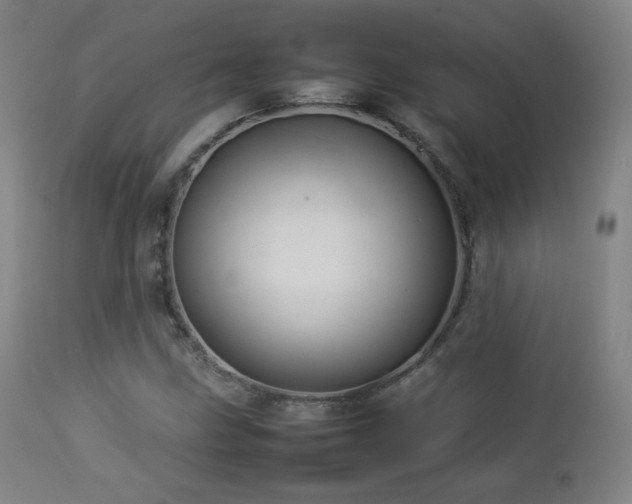 X0000112831211200908211208