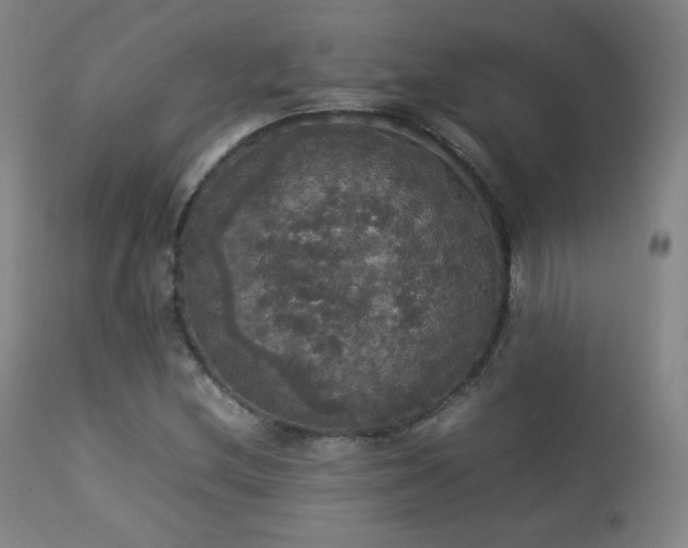 X0000112831212200908211208