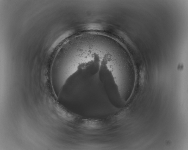 X0000112831213200908211209