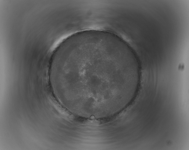 X0000112831214200908211209