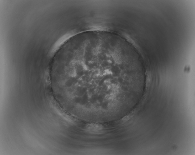 X0000112831215200908211209