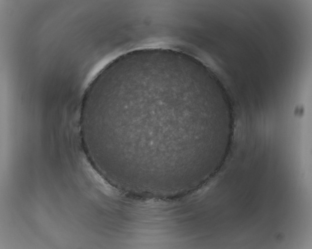 X0000112831216200908211209