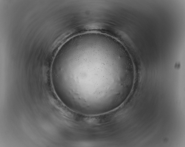 X0000112831217200908211209