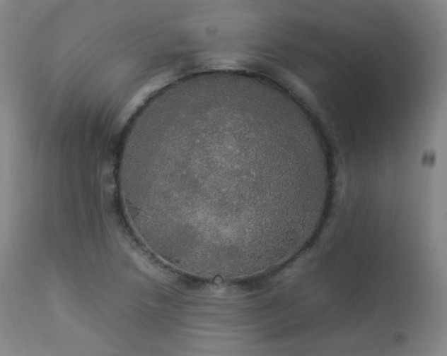 X0000112831218200908211209