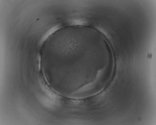 X0000112831219200908211209