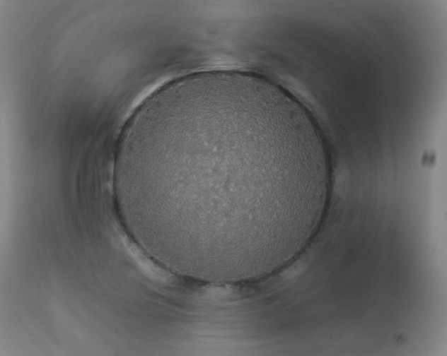 X0000112831220200908211209