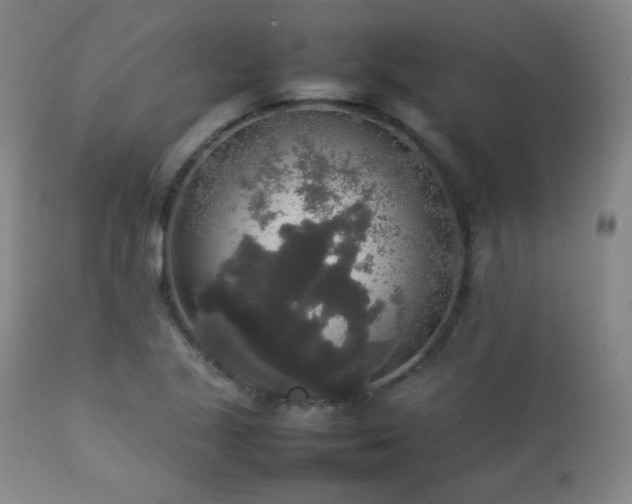 X0000112831221200908211209