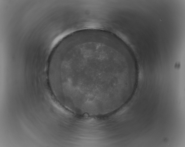 X0000112831222200908211209