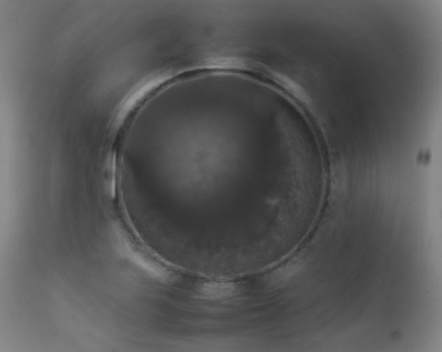 X0000112831223200908211209