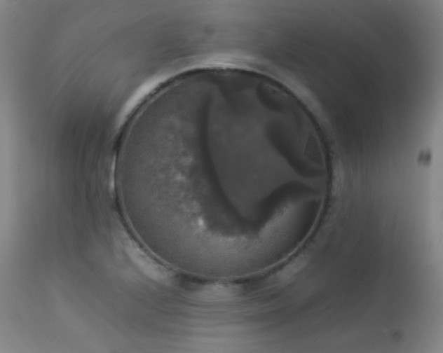 X0000112831224200908211209