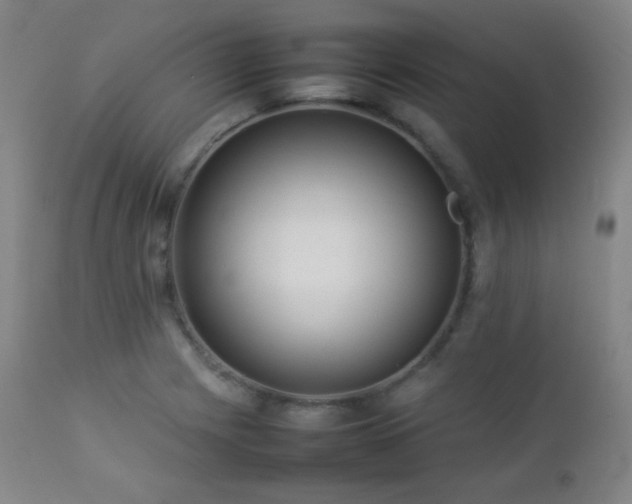 X0000112831225200908211209